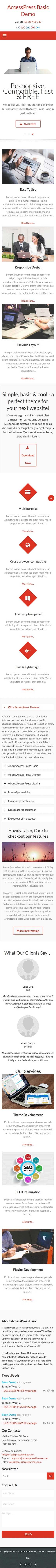 Accesspress Basic